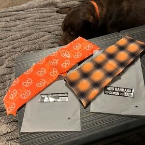 DIXXON Vibrant Orange and Plaid Dog Bandana Set